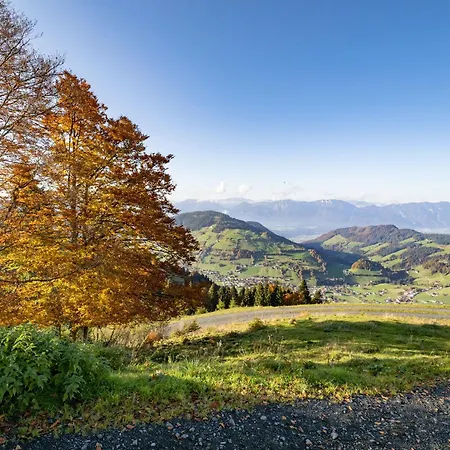 Aparthotel Mountain - Hochquartier - Wildschoenau 4*