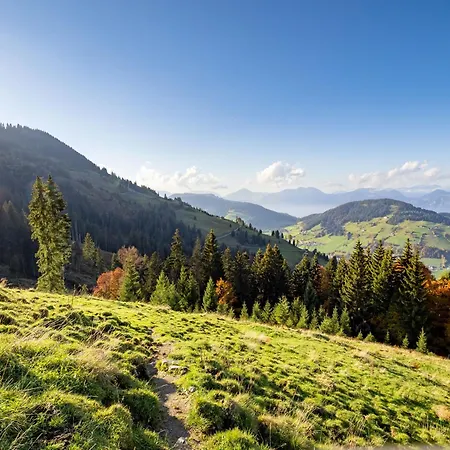 Mountain - Hochquartier - Wildschoenau 4* Niederau