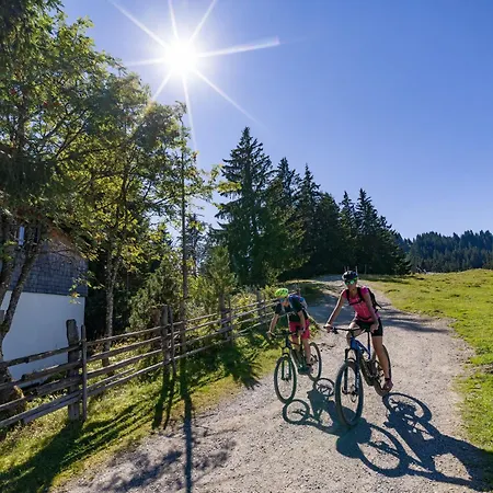 Mountain - Hochquartier - Wildschoenau 4* Niederau